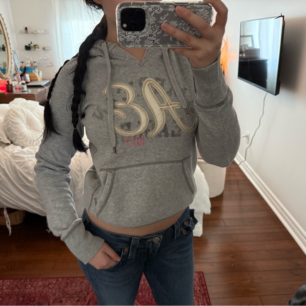 Vintage American Eagle Outfitters Gray Hoodie with Embroidered Logo